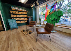 Customer lounge inside the Monroe Avenue Acadia Botanicals store
