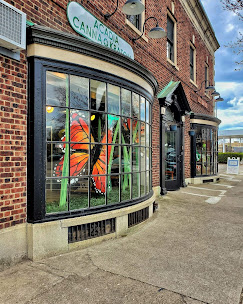 Acadia Botanicals storefront on Monroe Avenue in Rochester, New York