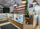 Retail counters inside the Acadia Botanicals Penfield store