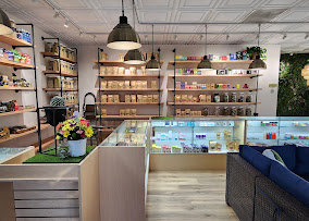 Service counter and illuminated display cases inside the Victor store