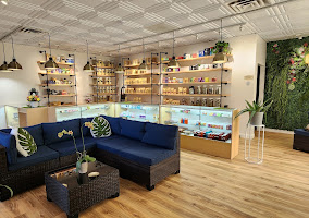 Blue customer lounge and illuminated product displays inside the Victor store